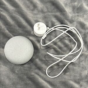 Google home with charger
